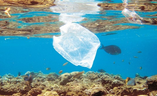 Bolsas en el mar