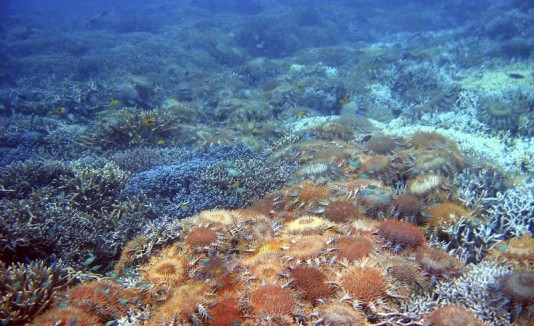 Mar