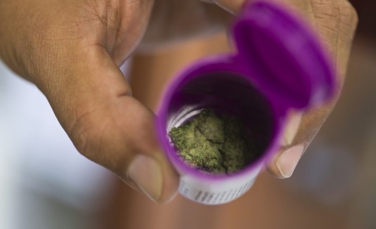 Marihuana