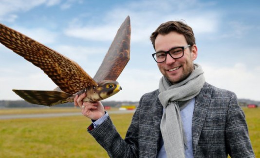 Robird, pájaro robótico