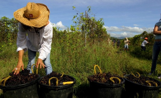 Agricultura