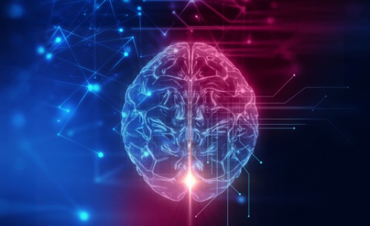 Cerebro