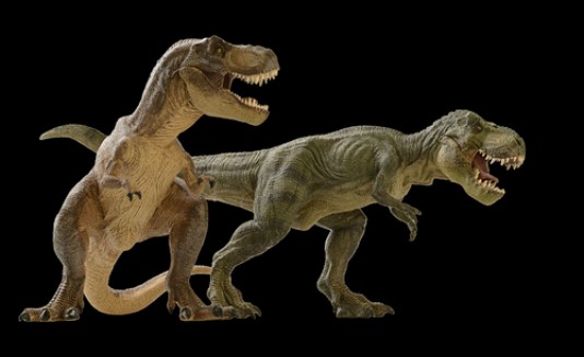 Tiranosaurio