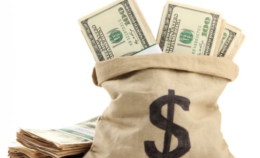 Bolsa de dinero
