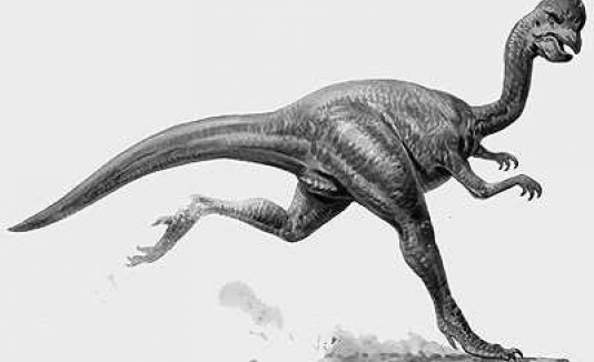 Oviraptor