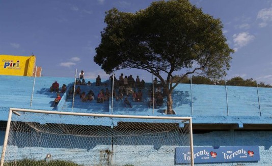 Arbol hincha de fútbol