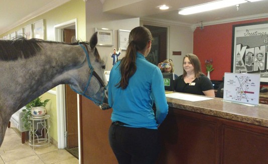 Un caballo en la recepción de un hotel en Kentucky