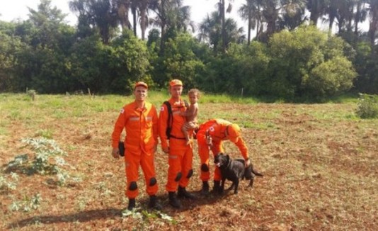 Bebé en la selva