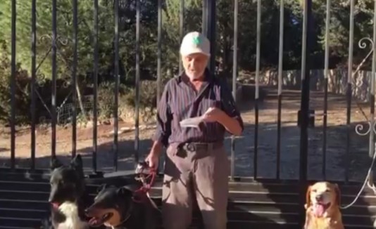 Anciano y sus perros