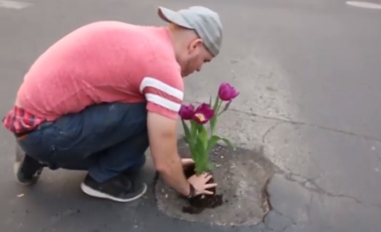 Plantas en bachex