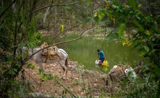 Bosque seco Colombia