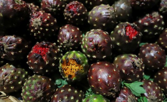 pitaya