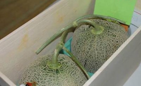 melones