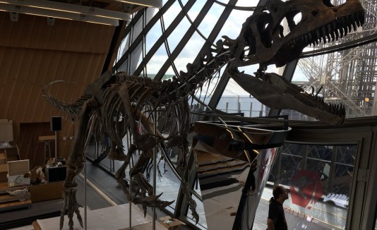 Dinosaurio París
