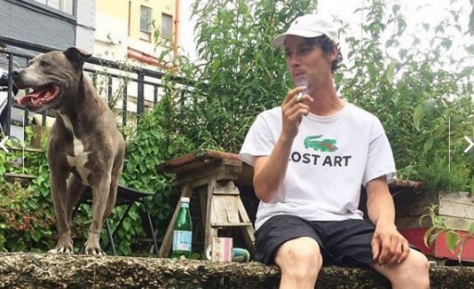 Perro camarógrafo