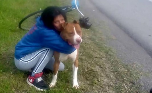 Perro