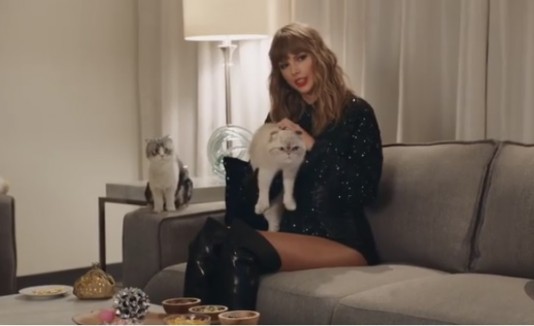 Gato TYLOR