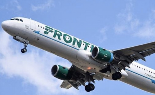 Asistente de vuelo