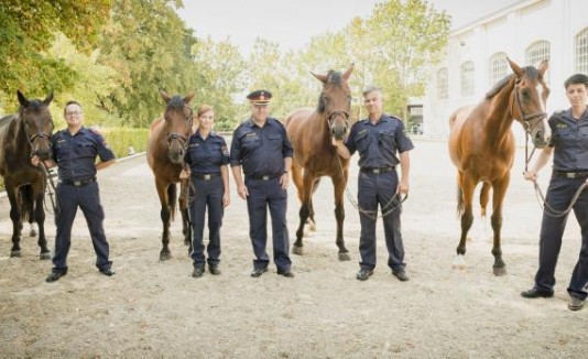 Caballos