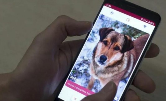 Tinder para perros
