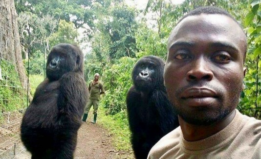 selfie