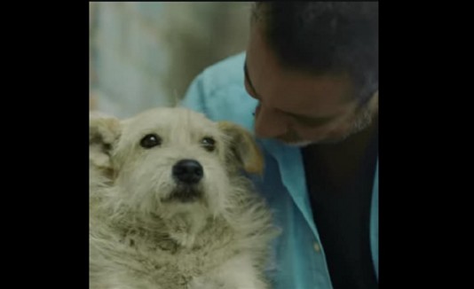 perro