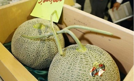 melonn