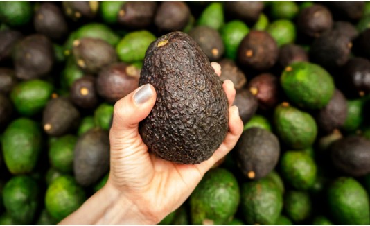 aguacate