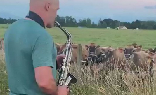 saxofonista