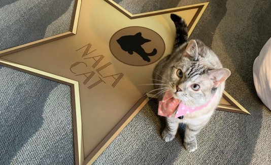 Nala