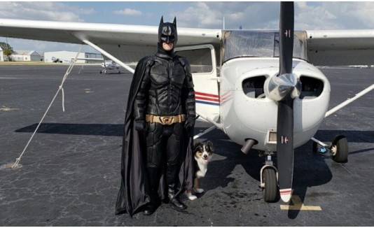 Batman Perros