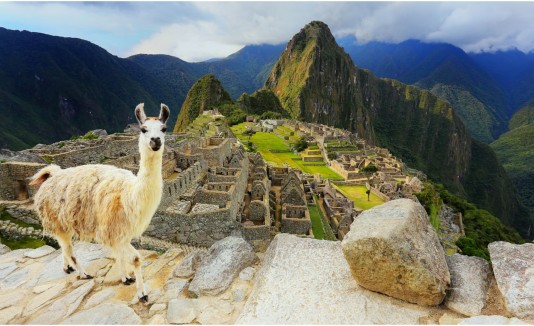 Machu Picchu