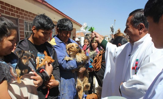 ceremonia para perros