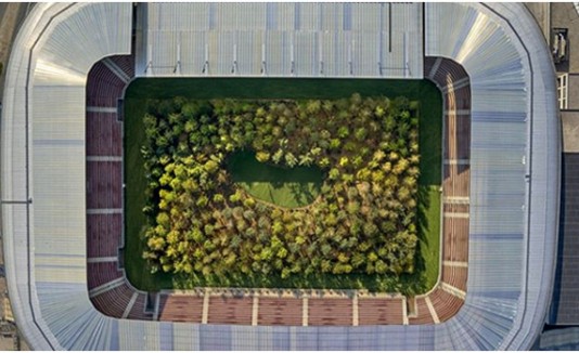 Estadio
