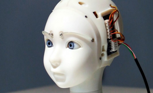 robot