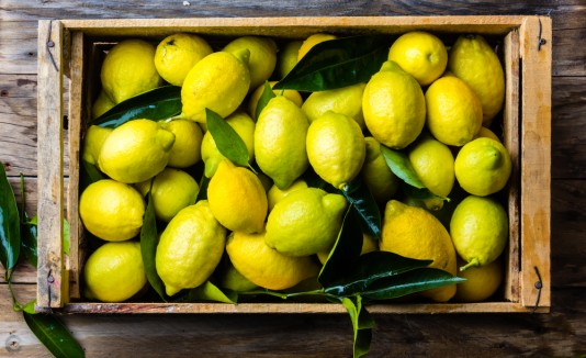 Los limones sirvieron para que la niña consiguiera su sueño.