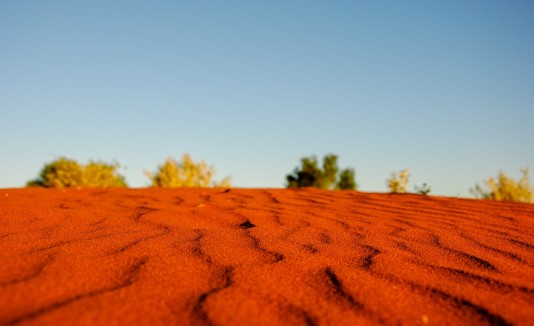 fue hallado este martes con vida en una remota zona del desierto de Australia, donde las temperaturas rondan estos días los 40 grados.