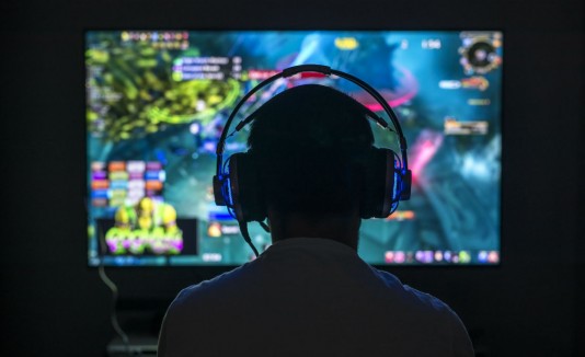 gamer