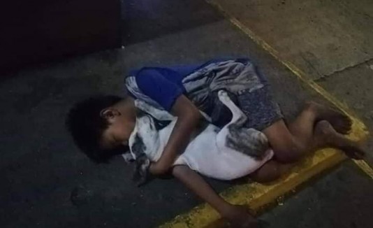 Niño abraza a su perro