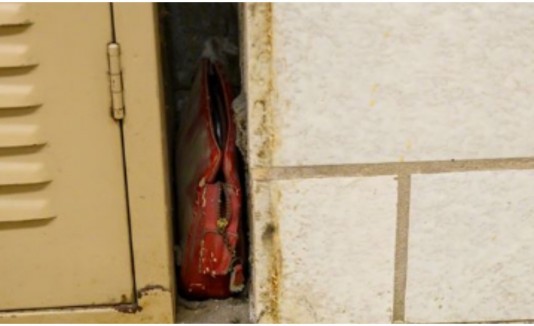 Cartera encontrada