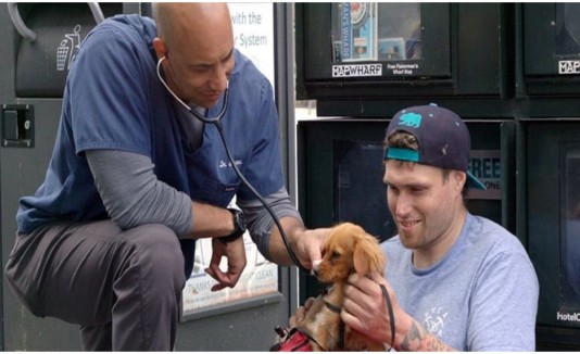 Veterinario
