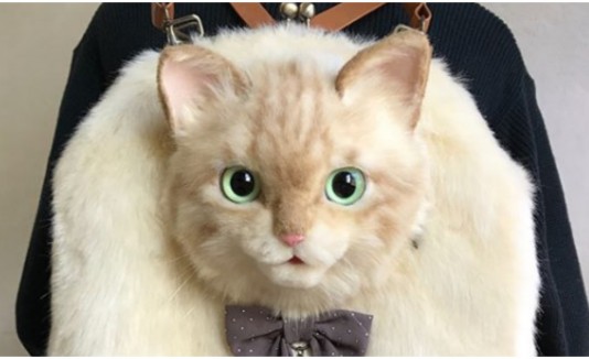 Carteras de gato.