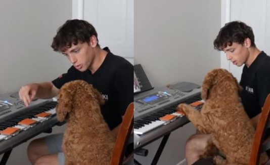 Max tocando el piano.