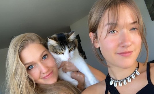 Gato adoptado