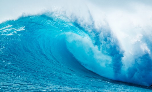 Olas
