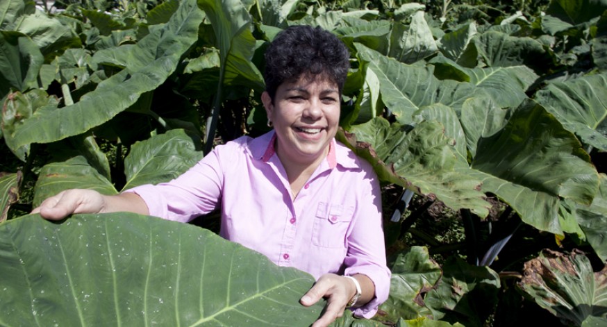 Agricultura