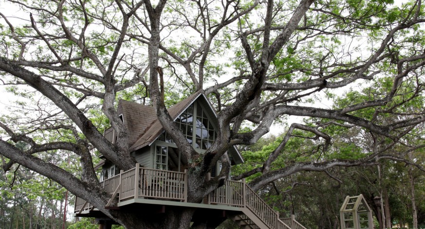 La casa de árbol se construyó hace más de 20 años.