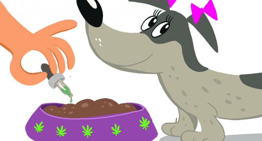 Cannabis para mascotas